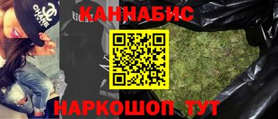 сатива Коммунар