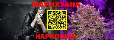 сатива Коммунар