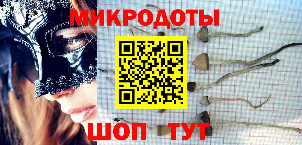 Галлюциногенные грибы мухоморы  Вход с VPN  Екатеринбург  наркотики  Галлюциногенные грибы Magic Shrooms 