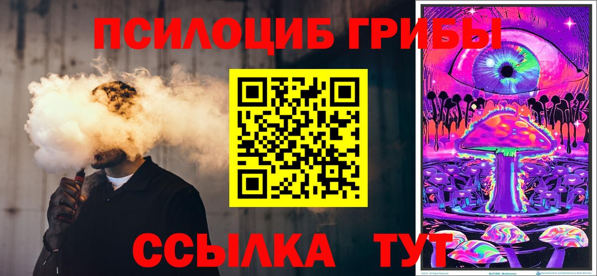 Псилоцибиновые грибы мицелий Екатеринбург
